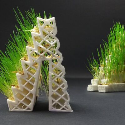 LayFilaments GROWLAY Filament - 250 de grame - Maro - 1.75mm - 300g