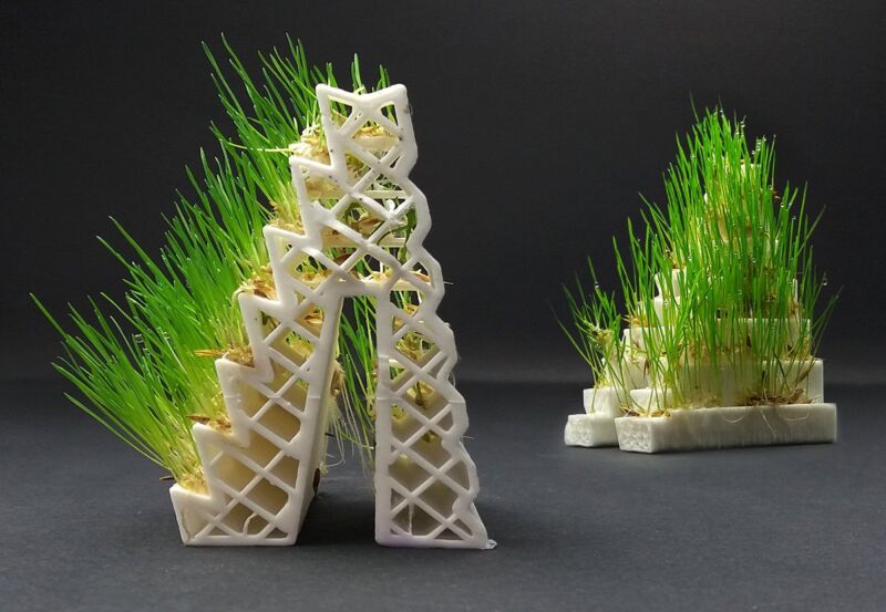LayFilaments GROWLAY Filament - 250 de grame - Maro - 1.75mm - 300g