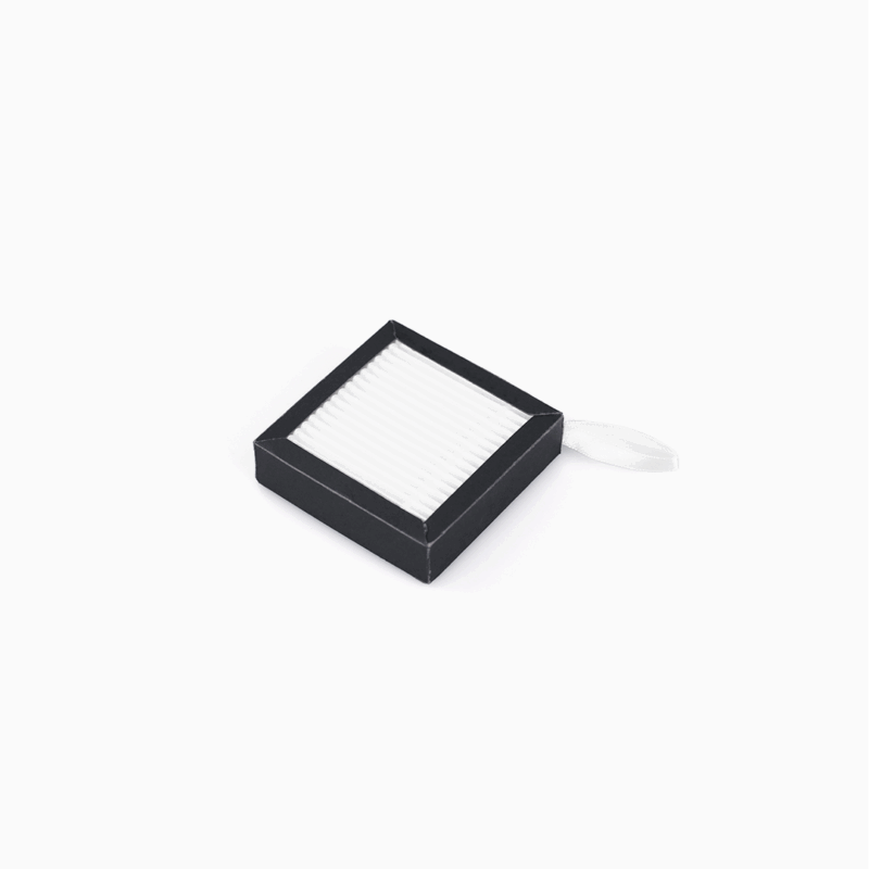 Filtru de aer Raise3D E2