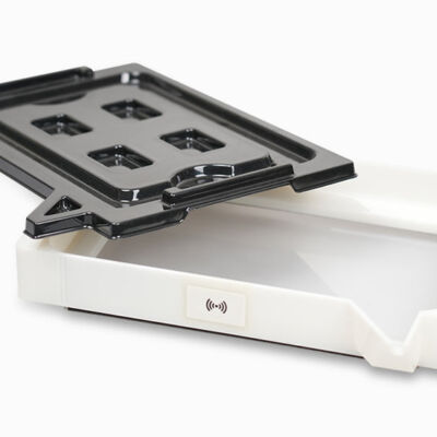 Raise3D DF2+ Resin Tank with Storage Cover